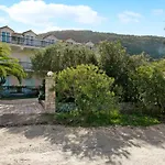 Dolphin 3 *